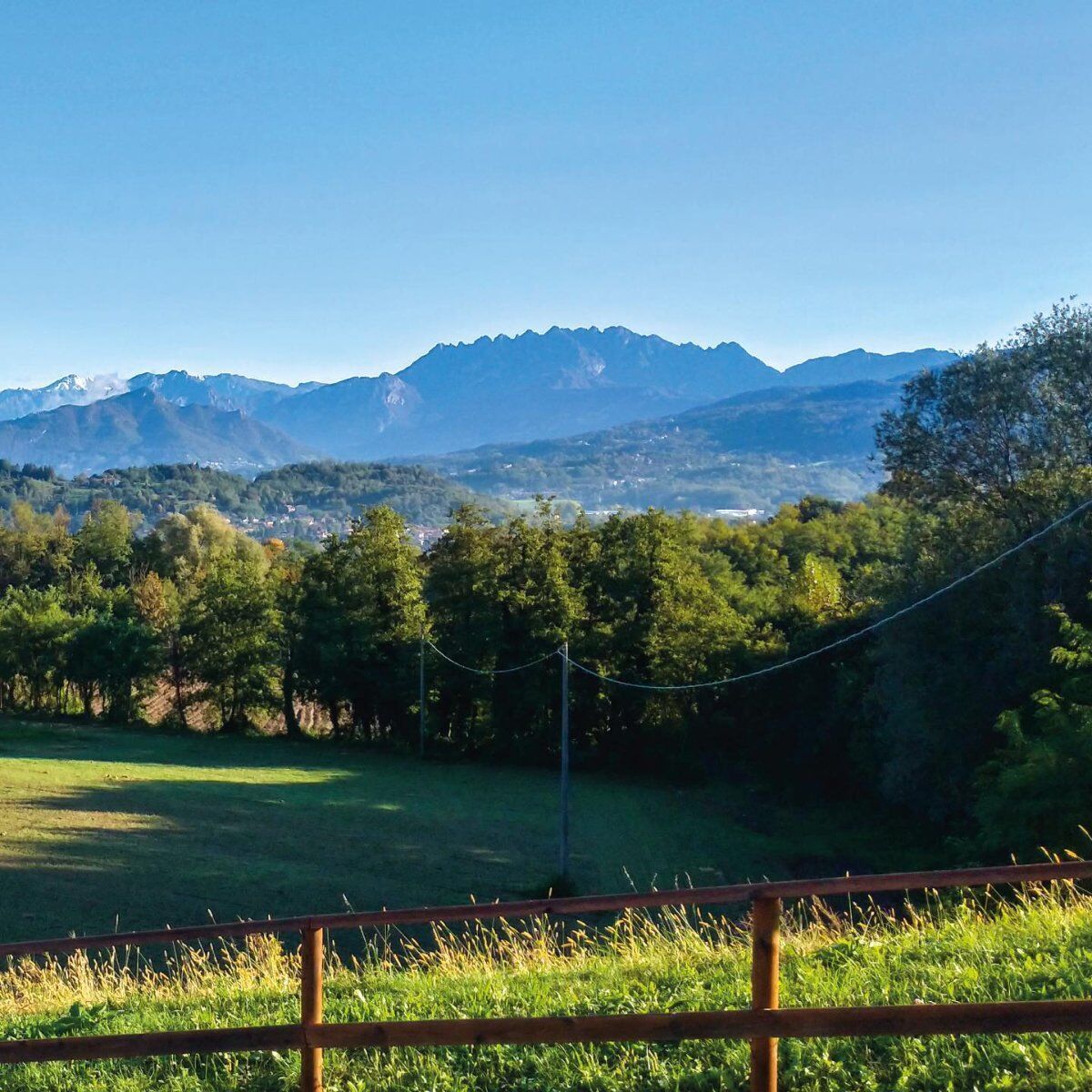 Passeggiata con raccolta di castagne e degustazione al luppoleto Passeggiata con raccolta di castagne e degustazione al luppoleto desktop picture