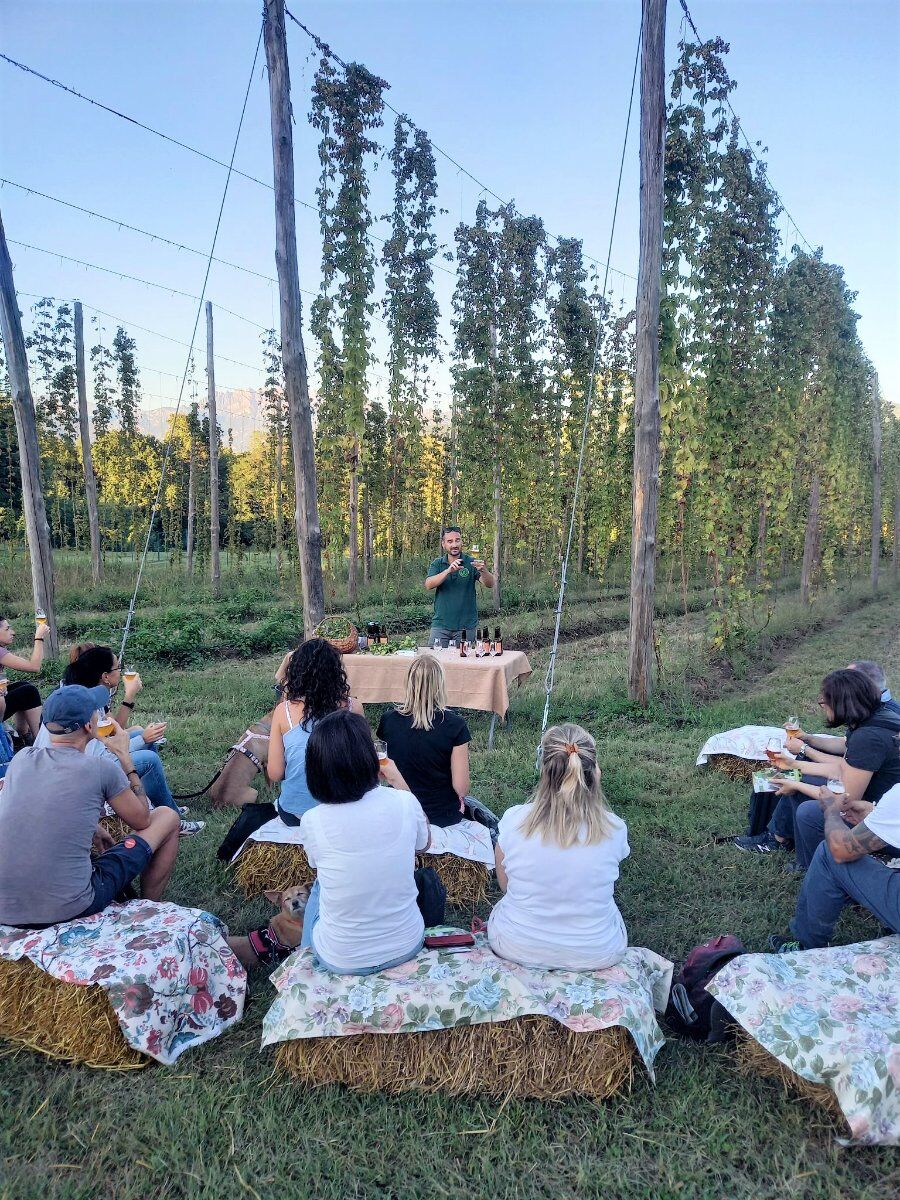 Passeggiata con raccolta di castagne e degustazione al luppoleto Passeggiata con raccolta di castagne e degustazione al luppoleto desktop picture