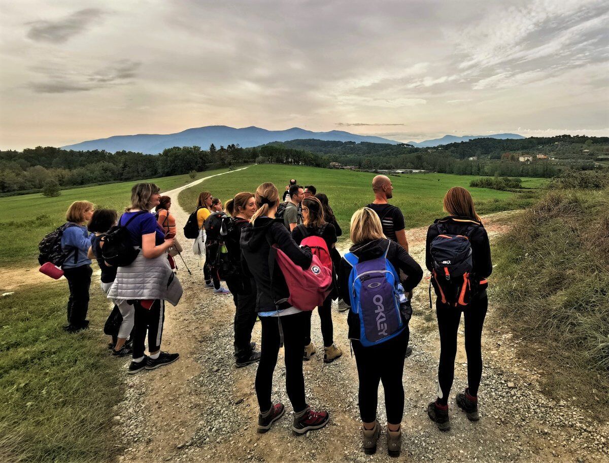 Trekking da Montecarlo di Lucca alla famosa Quercia delle Streghe Trekking da Montecarlo di Lucca alla famosa Quercia delle Streghe desktop picture
