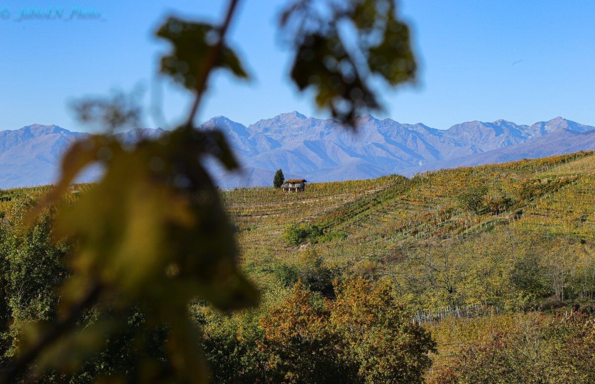 Trekking panoramico tra le vigne di Gattinara desktop picture