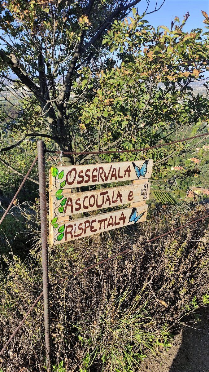 Trekking al Monte Ceva: un tesoro di biodiversità nei Colli Euganei Trekking al Monte Ceva: un tesoro di biodiversità nei Colli Euganei desktop picture