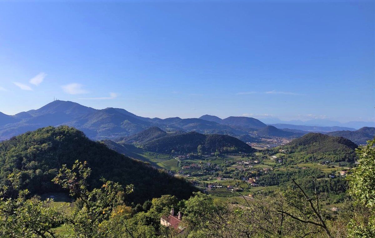 Trekking al Monte Ceva: un tesoro di biodiversità nei Colli Euganei desktop picture