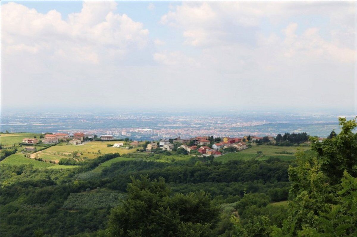 Passeggiata con degustazione nella splendida Mezzane di Sotto Passeggiata con degustazione nella splendida Mezzane di Sotto desktop picture