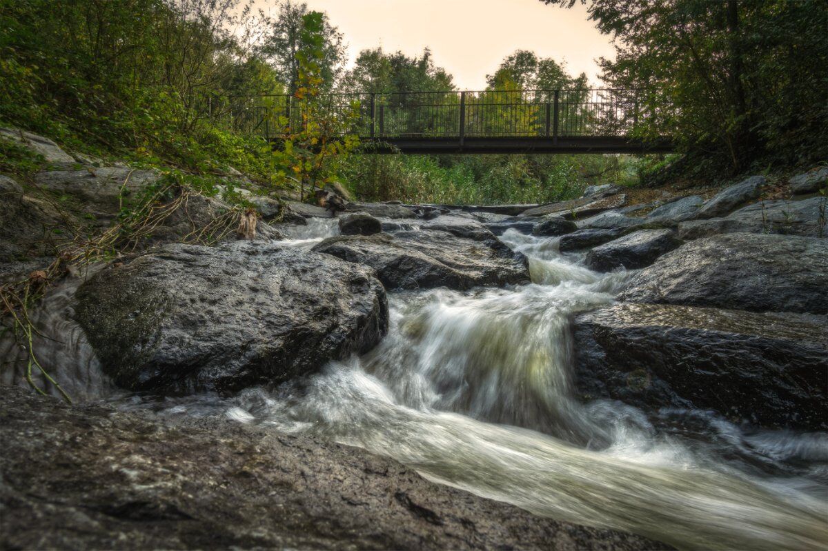 Parco Valle Lambro: Passeggiata naturalistica nell’Oasi di Baggero Parco Valle Lambro: Passeggiata naturalistica nell’Oasi di Baggero desktop picture