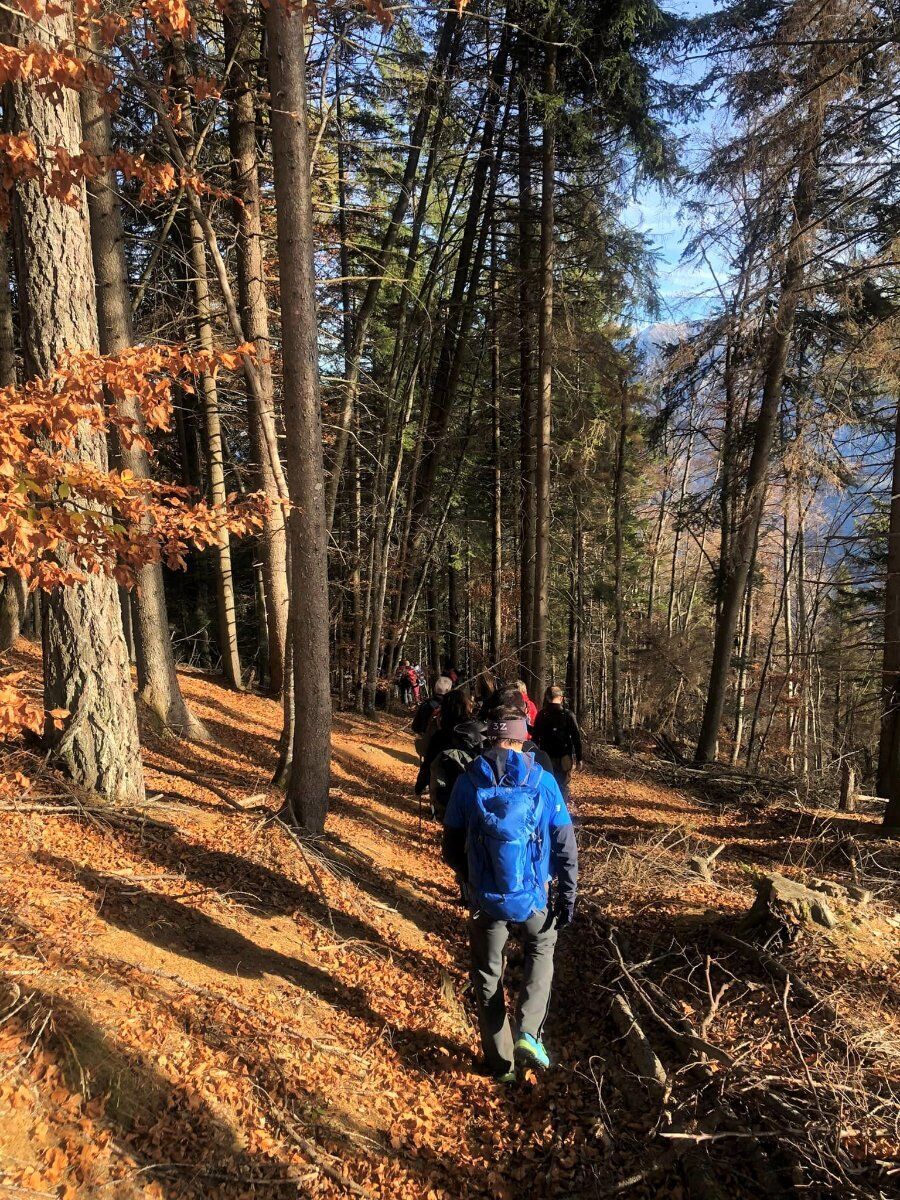 Lagorai: Trekking tra i colori d’autunno alla scoperta della Lupa Lagorai: Trekking tra i colori d’autunno alla scoperta della Lupa desktop picture