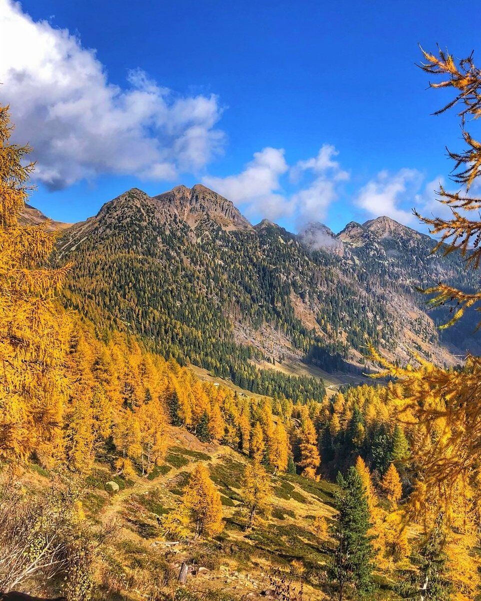 Lagorai: Trekking tra i colori d’autunno alla scoperta della Lupa desktop picture
