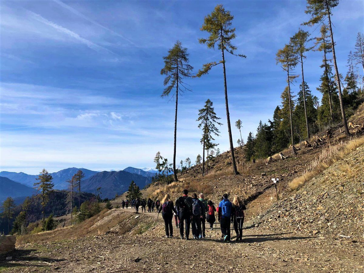 Lagorai: Trekking tra i colori d’autunno alla scoperta della Lupa Lagorai: Trekking tra i colori d’autunno alla scoperta della Lupa desktop picture