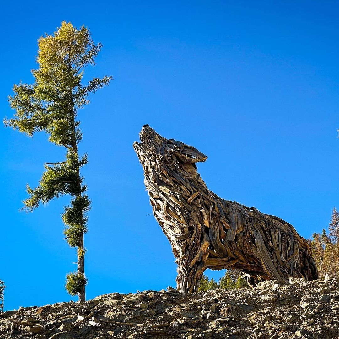 Lagorai: Trekking tra i colori d’autunno alla scoperta della Lupa Lagorai: Trekking tra i colori d’autunno alla scoperta della Lupa desktop picture