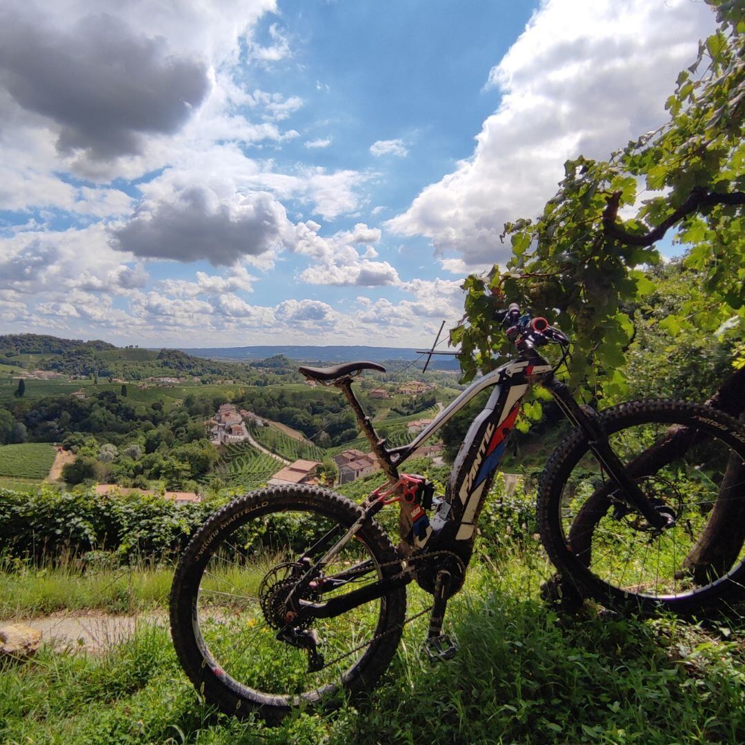E-bike Tour sulle Colline del Prosecco: tra vigne e storia desktop picture