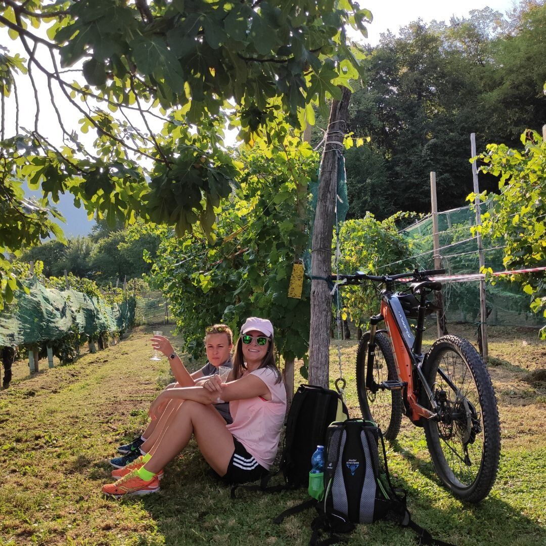 E-bike Tour sulle Colline del Prosecco: tra vigne e storia desktop picture
