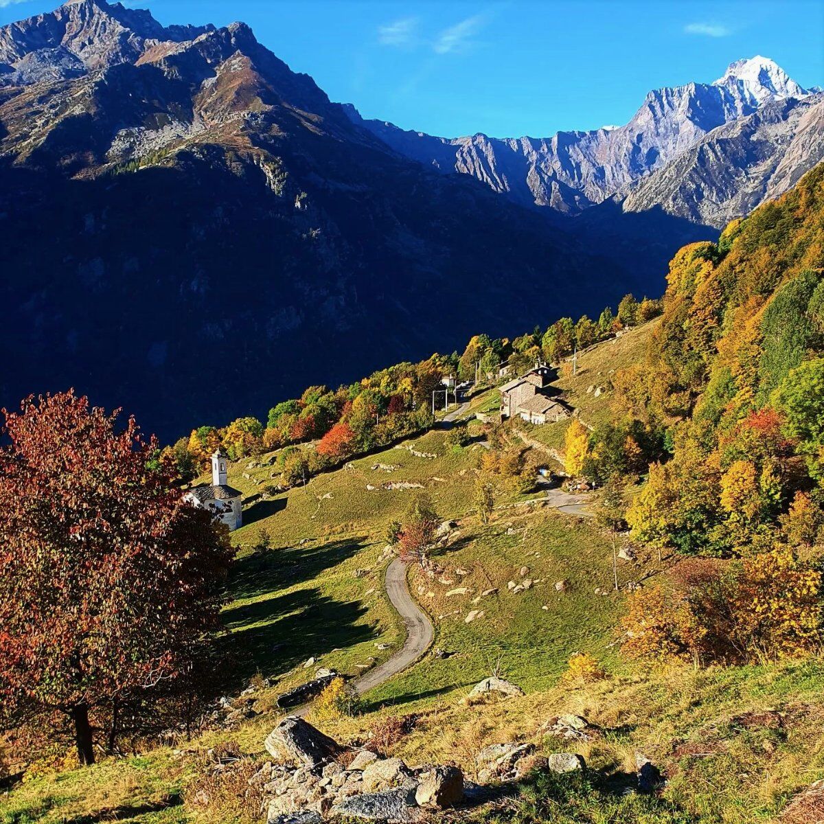 Escursione al Piano delle Riane: tra alpeggi, contrade e panorami Escursione al Piano delle Riane: tra alpeggi, contrade e panorami desktop picture