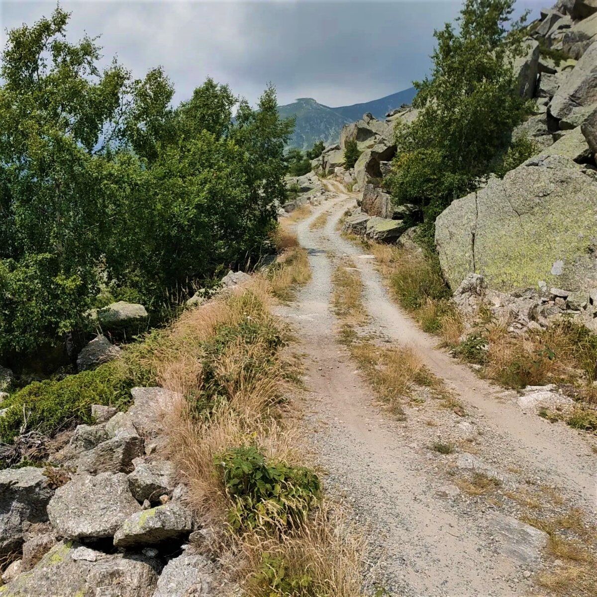 Escursione al Piano delle Riane: tra alpeggi, contrade e panorami Escursione al Piano delle Riane: tra alpeggi, contrade e panorami desktop picture