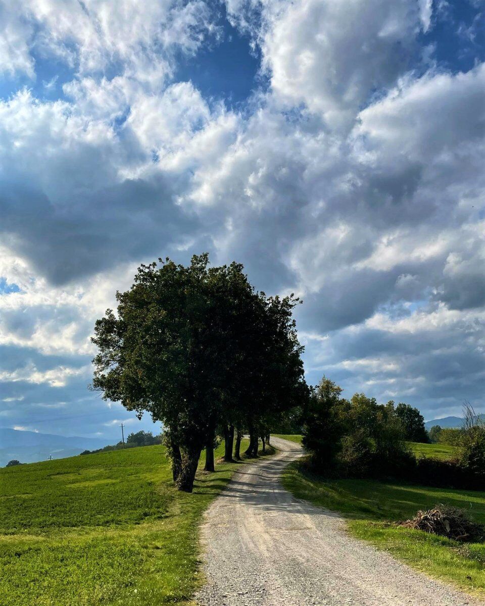 Trekking a Bazzano Parmense: il magico Paese dei Presepi desktop picture