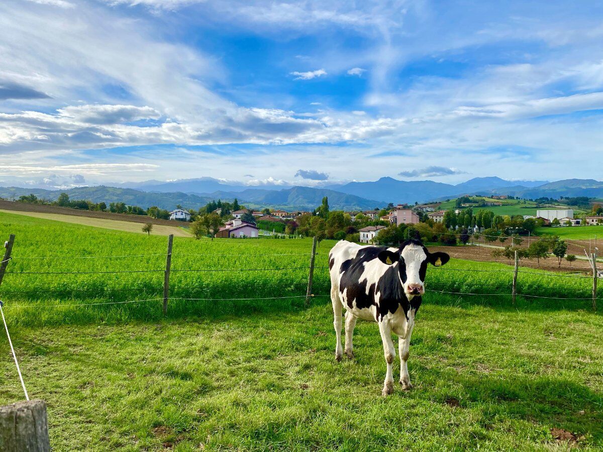 Trekking a Bazzano Parmense: il magico Paese dei Presepi desktop picture