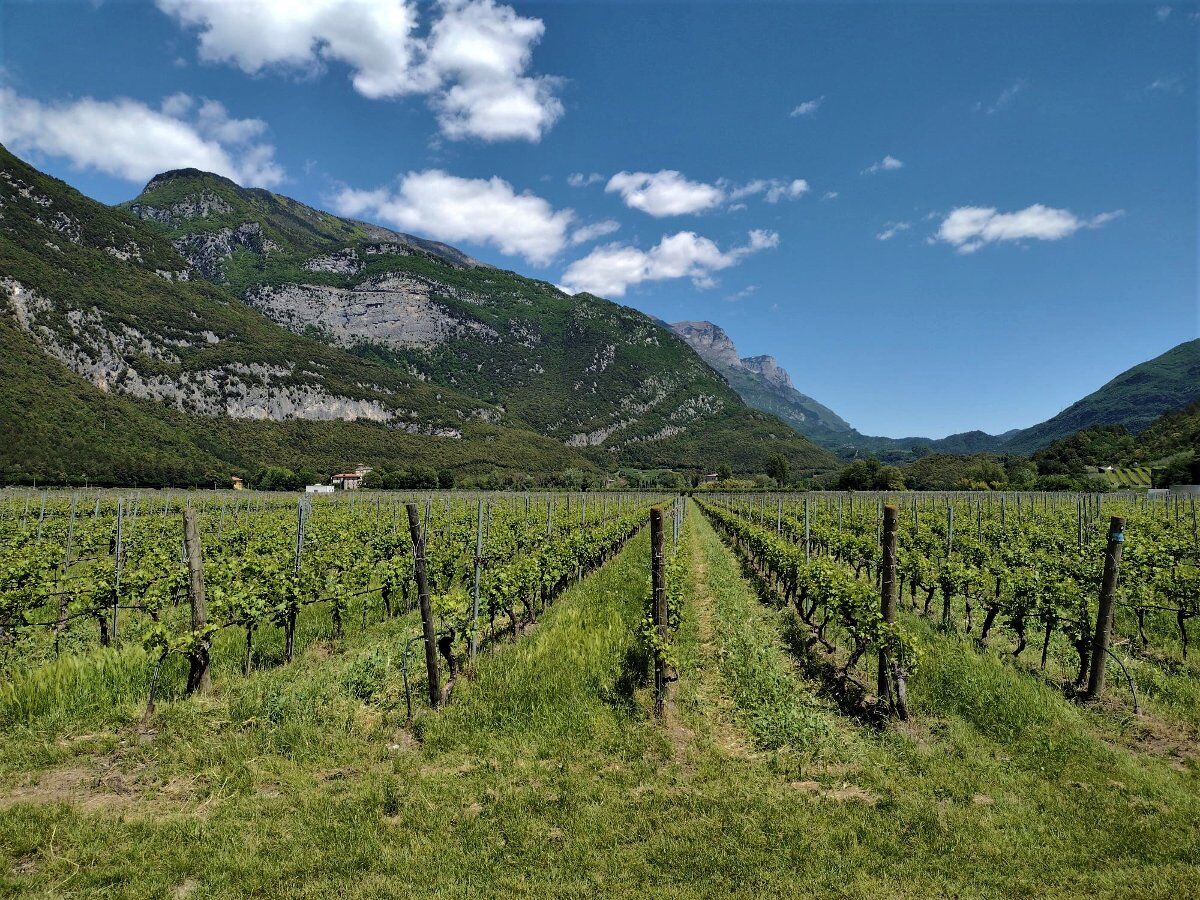 Passeggiata al Lago di Toblino con visita guidata del suo Castello Passeggiata al Lago di Toblino con visita guidata del suo Castello desktop picture