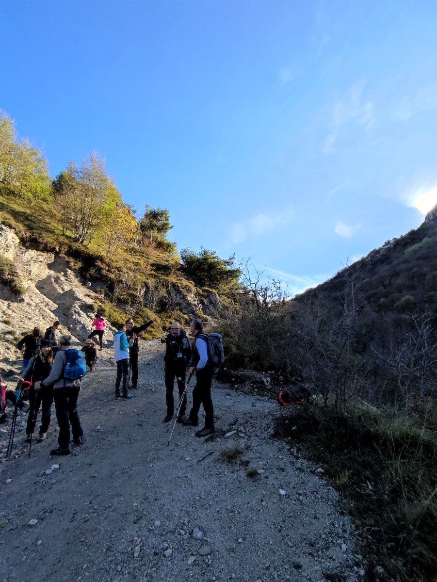 Trekking al Passo Spino: la meraviglia della migrazione autunnale Trekking al Passo Spino: la meraviglia della migrazione autunnale desktop picture