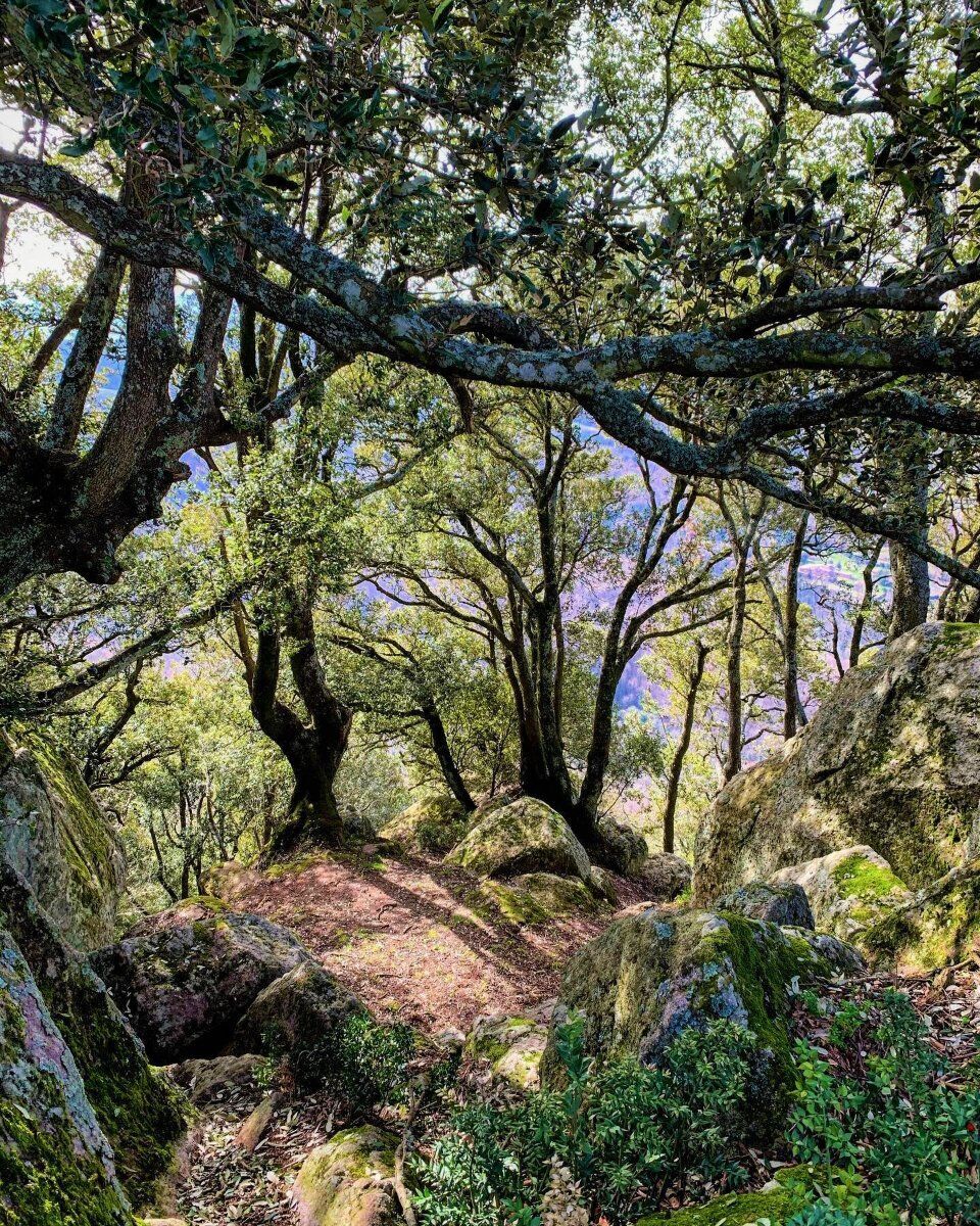 Escursione al Monte Palanzana: l’antica altura che domina Viterbo desktop picture