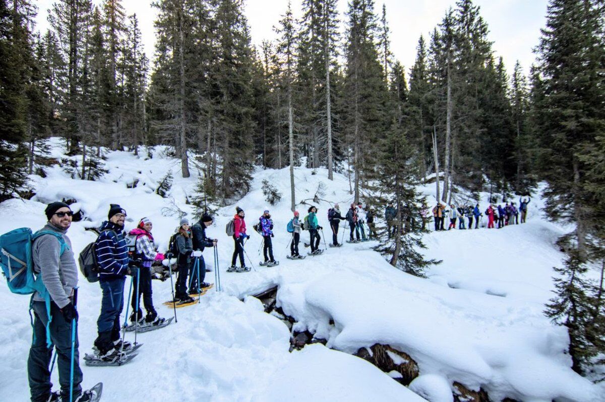 Epifania sulla neve: weekend di magia tra le Dolomiti Epifania sulla neve: weekend di magia tra le Dolomiti desktop picture
