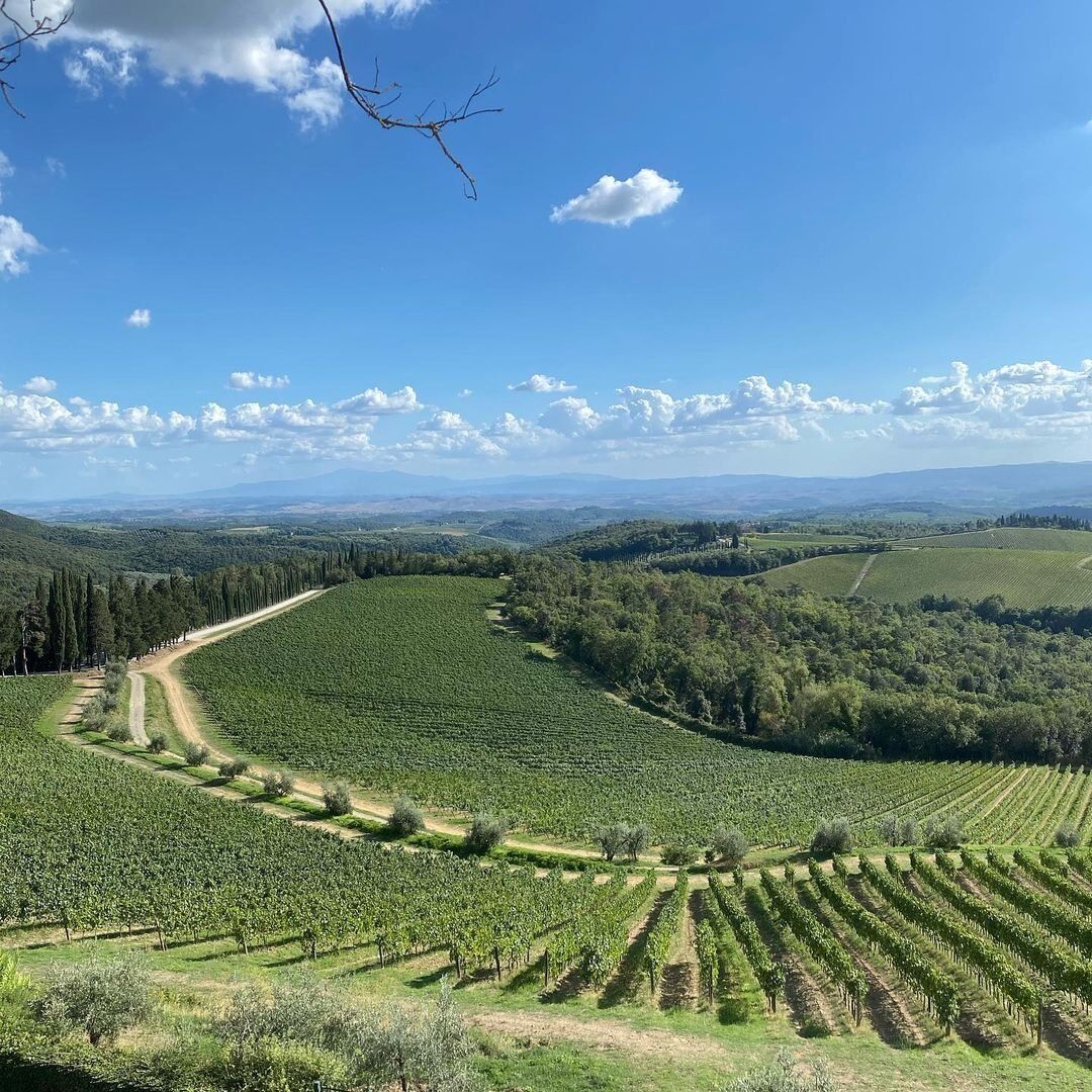 Tour della Tenuta Torciano con Degustazione di specialità toscane Tour della Tenuta Torciano con Degustazione di specialità toscane desktop picture