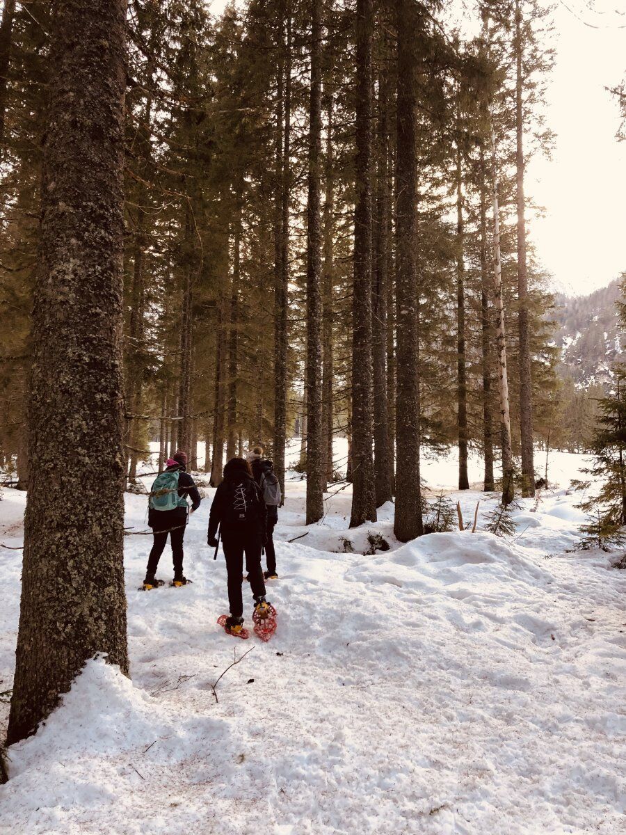 Bagno di Bosco: relax nella natura in Val Saisera Bagno di Bosco: relax nella natura in Val Saisera desktop picture