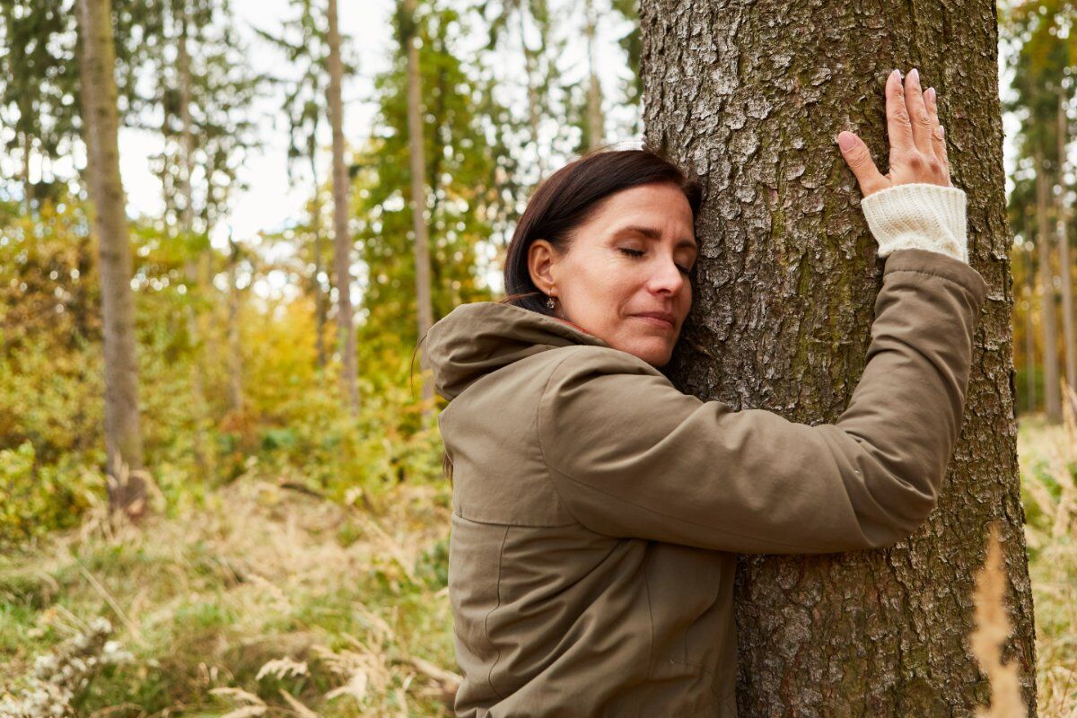 Bagno di Bosco: relax nella natura in Val Saisera Bagno di Bosco: relax nella natura in Val Saisera desktop picture