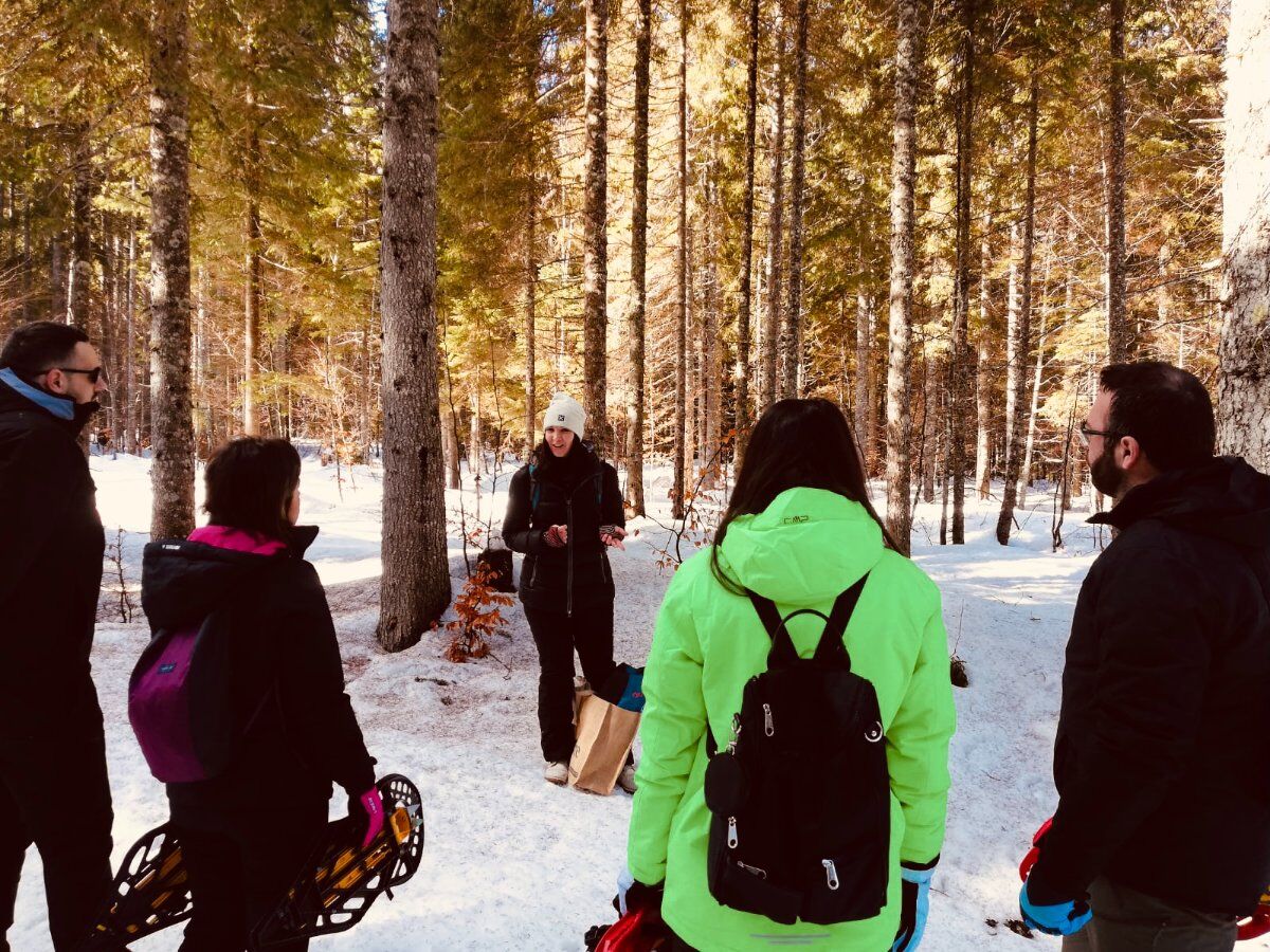 Bagno di Bosco: relax nella natura in Val Saisera Bagno di Bosco: relax nella natura in Val Saisera desktop picture