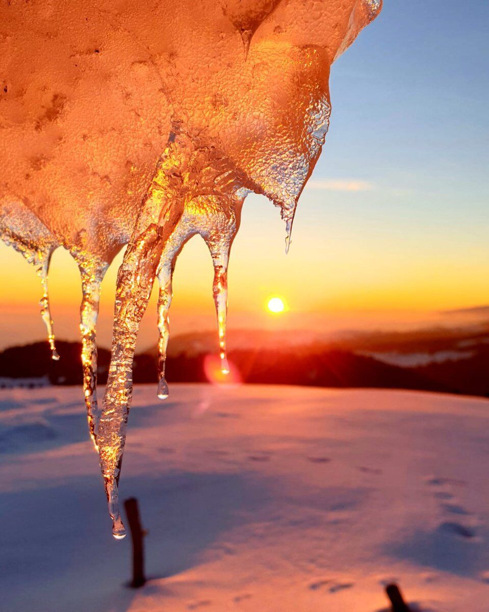 Tra sentieri e malghe: weekend in Lessinia con notte in rifugio Tra sentieri e malghe: weekend in Lessinia con notte in rifugio desktop picture