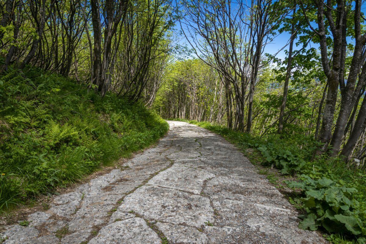 Trekking al Monte Mottarone: i sorprendenti panorami tra i due Laghi desktop picture