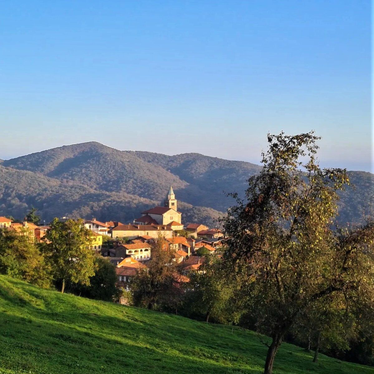 Trekking al Monte Mottarone: i sorprendenti panorami tra i due Laghi desktop picture