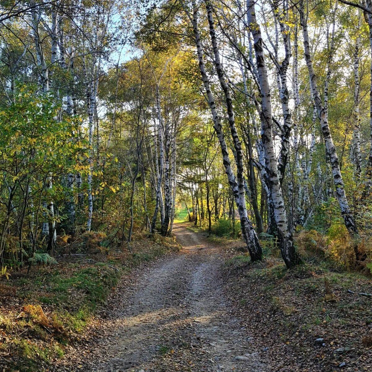 Trekking al Monte Mottarone: i sorprendenti panorami tra i due Laghi desktop picture