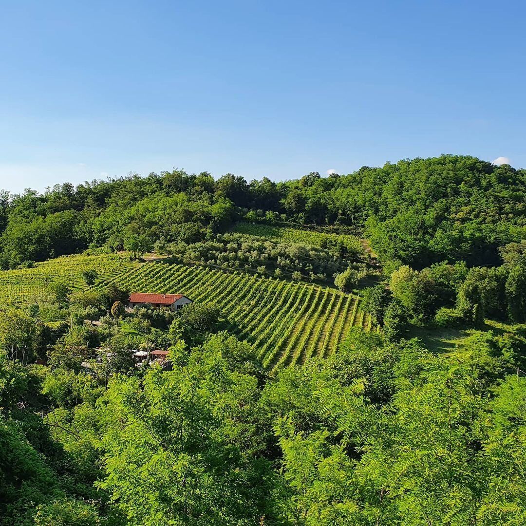 Montegrotto: Escursione ad anello da Villa Draghi verso il Monte Alto Montegrotto: Escursione ad anello da Villa Draghi verso il Monte Alto desktop picture