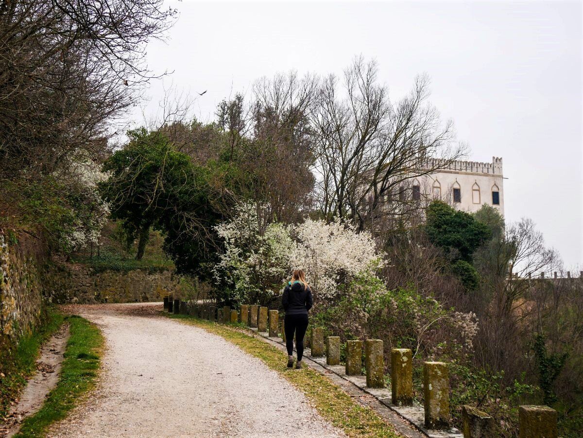 Montegrotto: Escursione ad anello da Villa Draghi verso il Monte Alto Montegrotto: Escursione ad anello da Villa Draghi verso il Monte Alto desktop picture