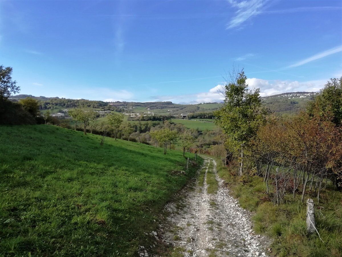 Trekking con Degustazione in Lessinia: il Monte Tesoro Trekking con Degustazione in Lessinia: il Monte Tesoro desktop picture
