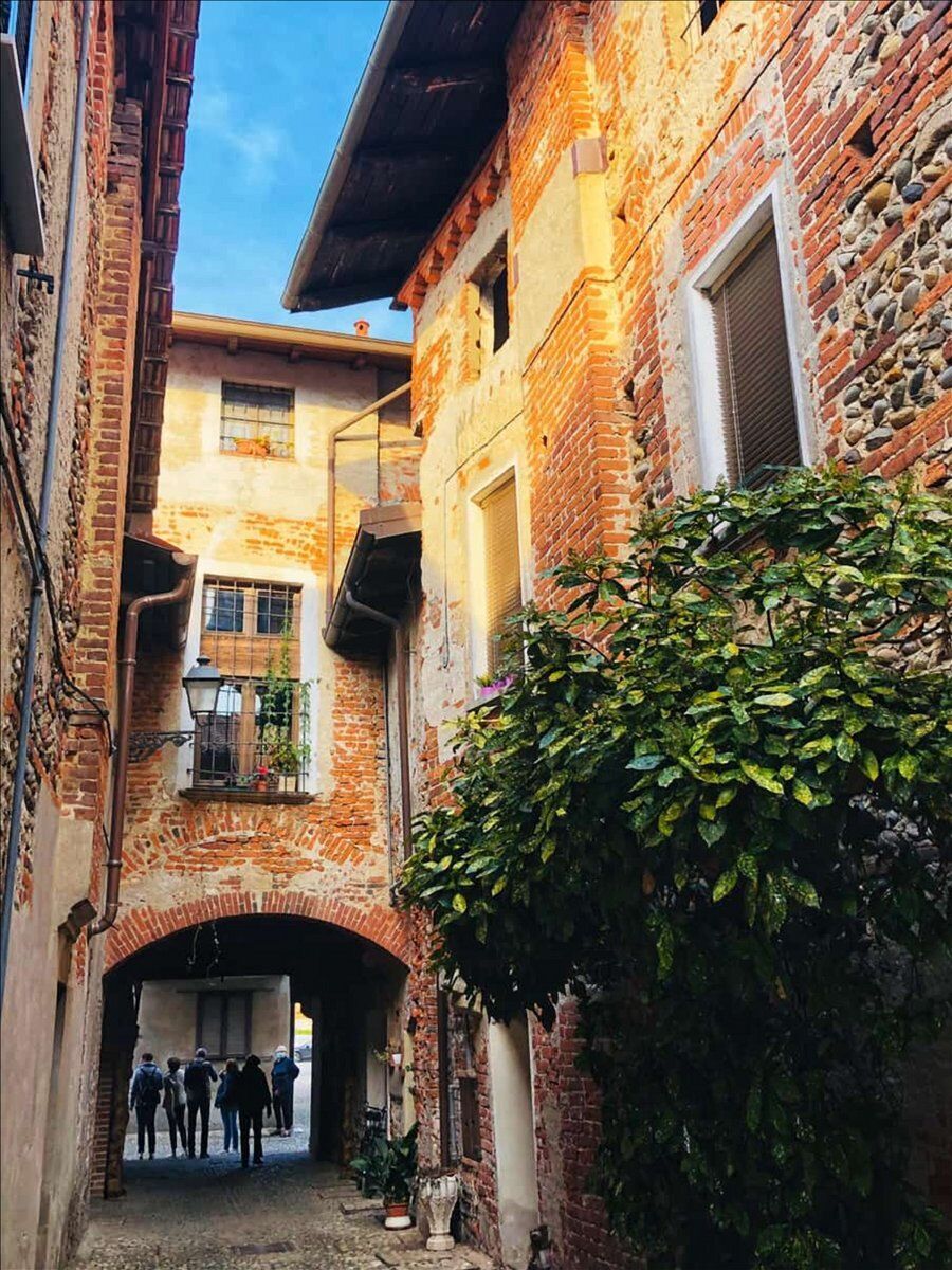 Camminata a Ghemme: le colline del vino e il Ricetto medievale desktop picture