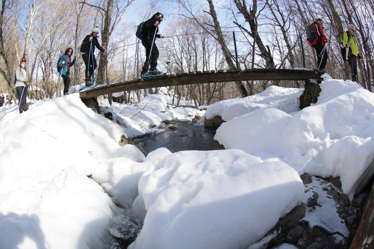 Ciaspolata nella storia alle pendici del Monte Cusna Ciaspolata nella storia alle pendici del Monte Cusna desktop picture