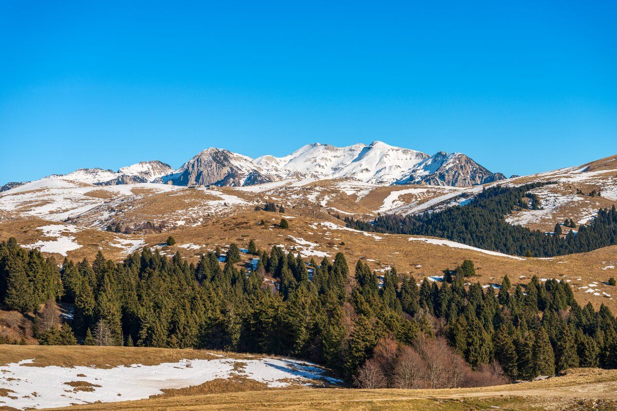 Escursione a Erbezzo: tra Paesaggi e Alberi Monumentali della Lessinia Escursione a Erbezzo: tra Paesaggi e Alberi Monumentali della Lessinia desktop picture