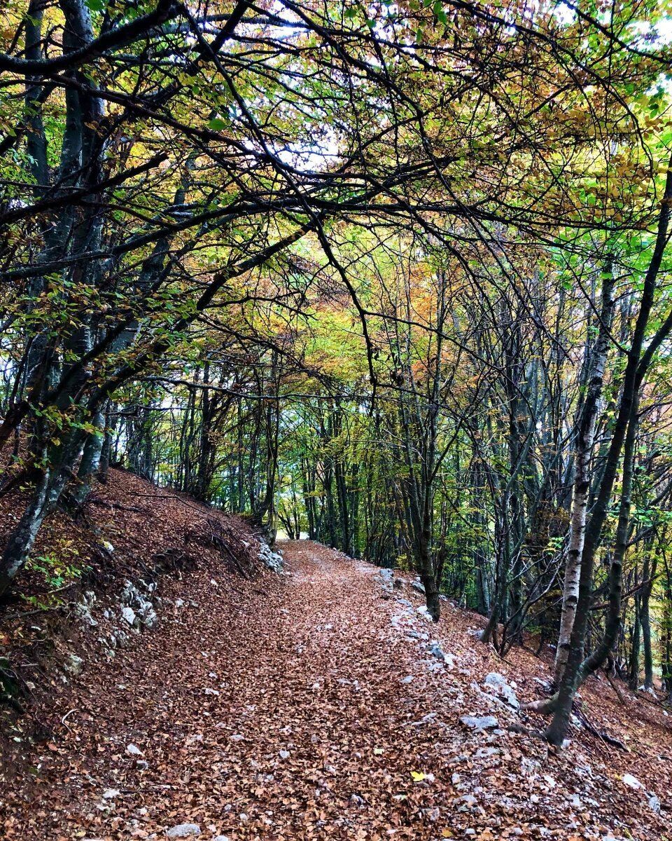Trekking al Monte Pizzocolo: la Cima più alta del Garda Occidentale Trekking al Monte Pizzocolo: la Cima più alta del Garda Occidentale desktop picture