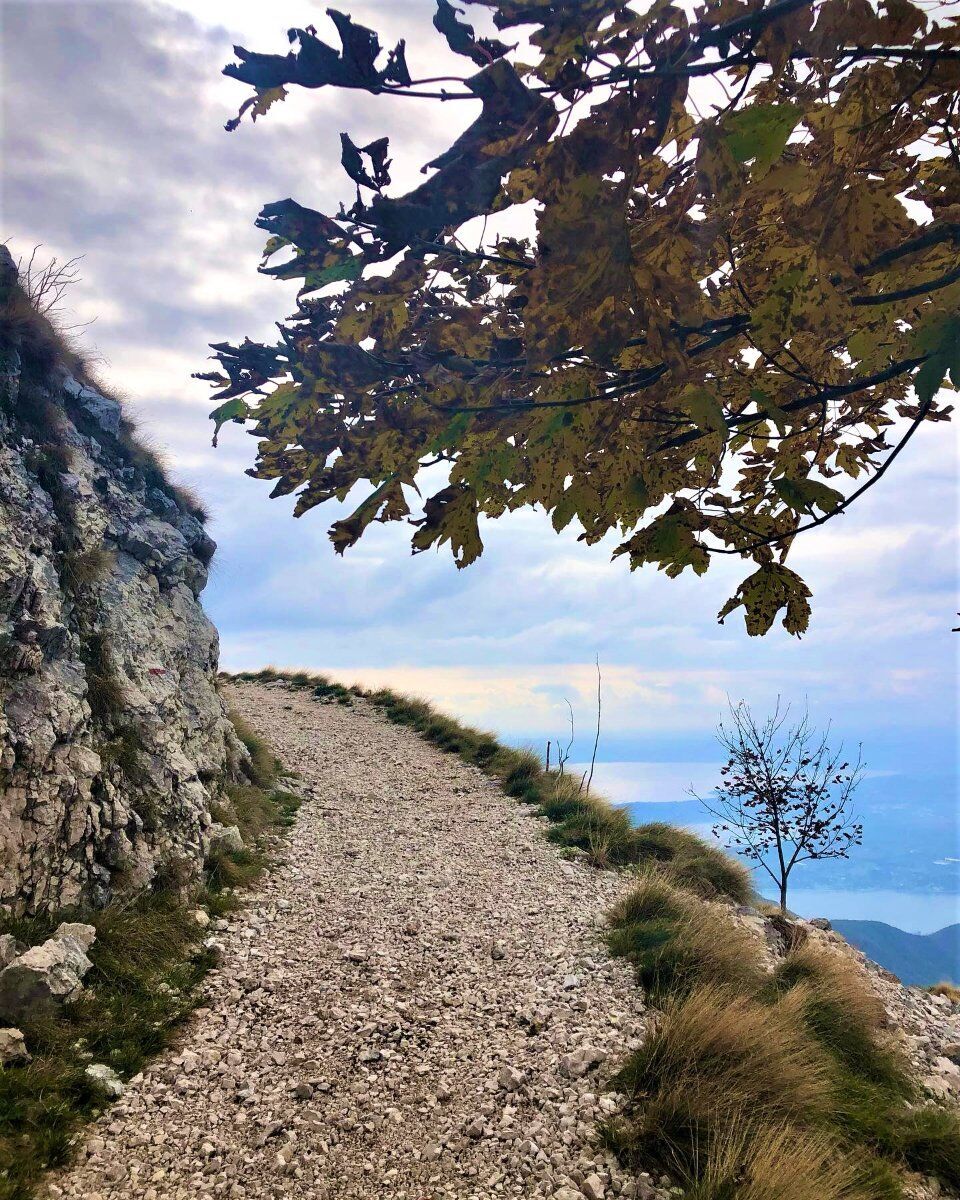 Trekking al Monte Pizzocolo: la Cima più alta del Garda Occidentale desktop picture