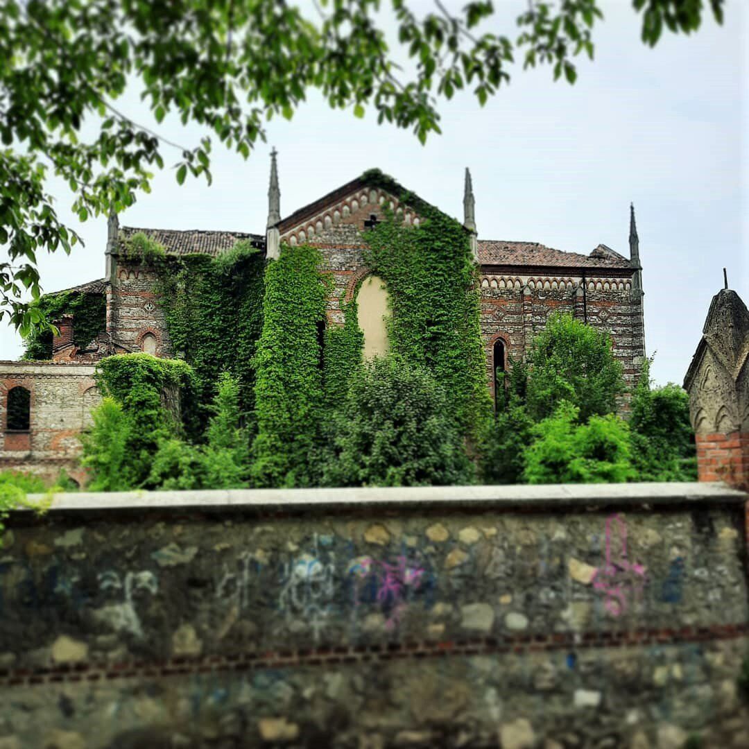 Passeggiata dal Lago di Sartirana all'atmosfera Natalizia di Merate Passeggiata dal Lago di Sartirana all'atmosfera Natalizia di Merate desktop picture