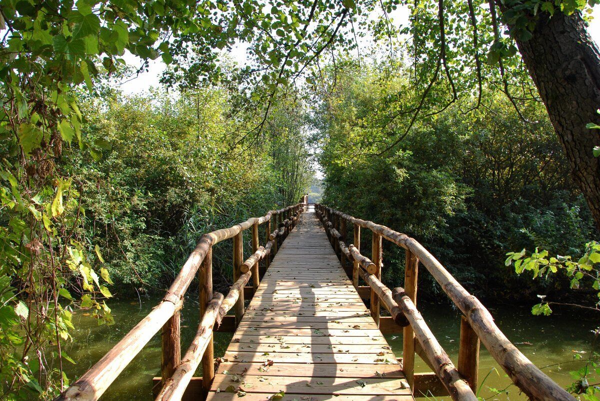 Passeggiata dal Lago di Sartirana all'atmosfera Natalizia di Merate Passeggiata dal Lago di Sartirana all'atmosfera Natalizia di Merate desktop picture