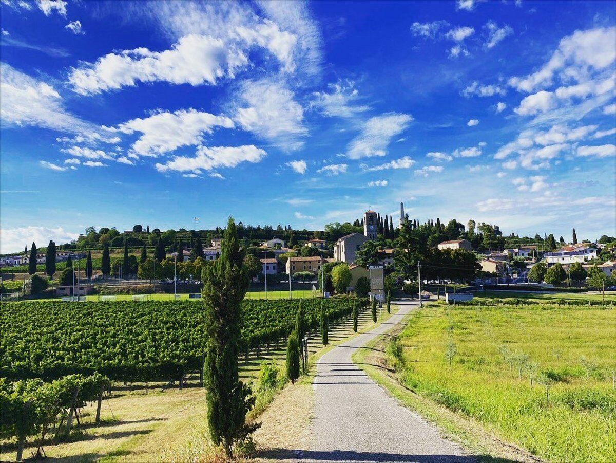 Passeggiata a Custoza con Degustazione in Cantina Passeggiata a Custoza con Degustazione in Cantina desktop picture