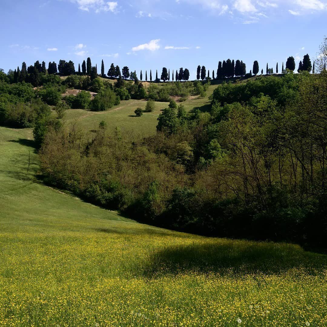 Camminata sui Colli Bolognesi: la Dolina della Spipola desktop picture