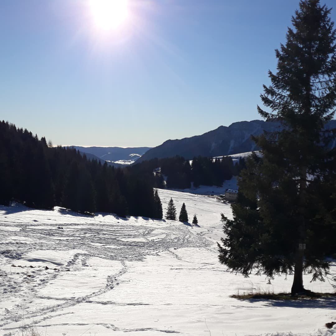 Ciaspolata a Cima Mandriolo: tra i pendii della Val Formica desktop picture