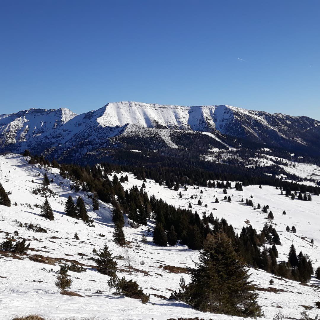 Ciaspolata a Cima Mandriolo: tra i pendii della Val Formica desktop picture