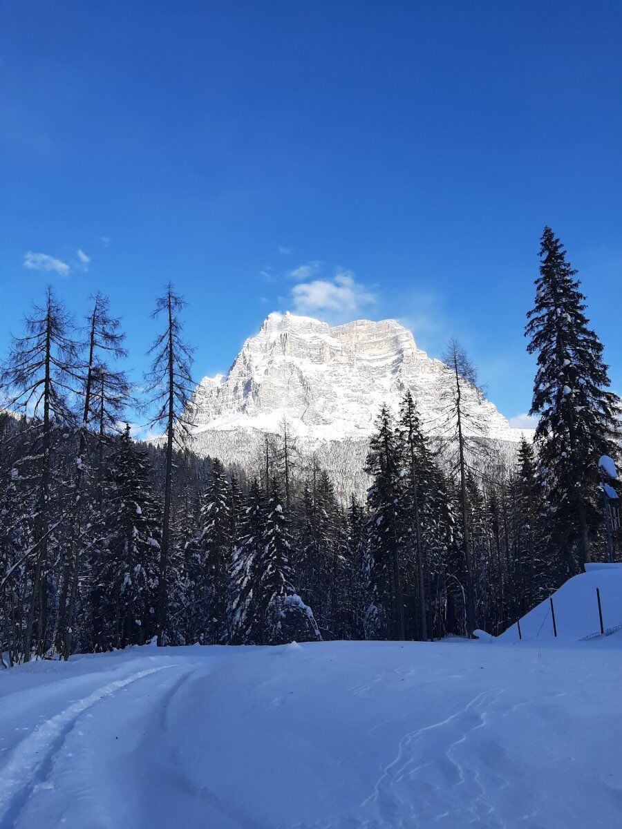 Ciaspolata con pranzo ai piedi del Monte Civetta: le Sorgenti del Maè desktop picture