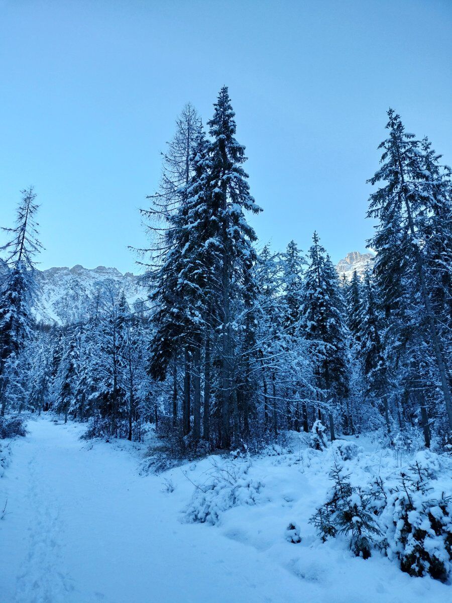 Val di Zoldo: Ciaspolata al laghetto del Vach e al borgo di Colcerver Val di Zoldo: Ciaspolata al laghetto del Vach e al borgo di Colcerver desktop picture