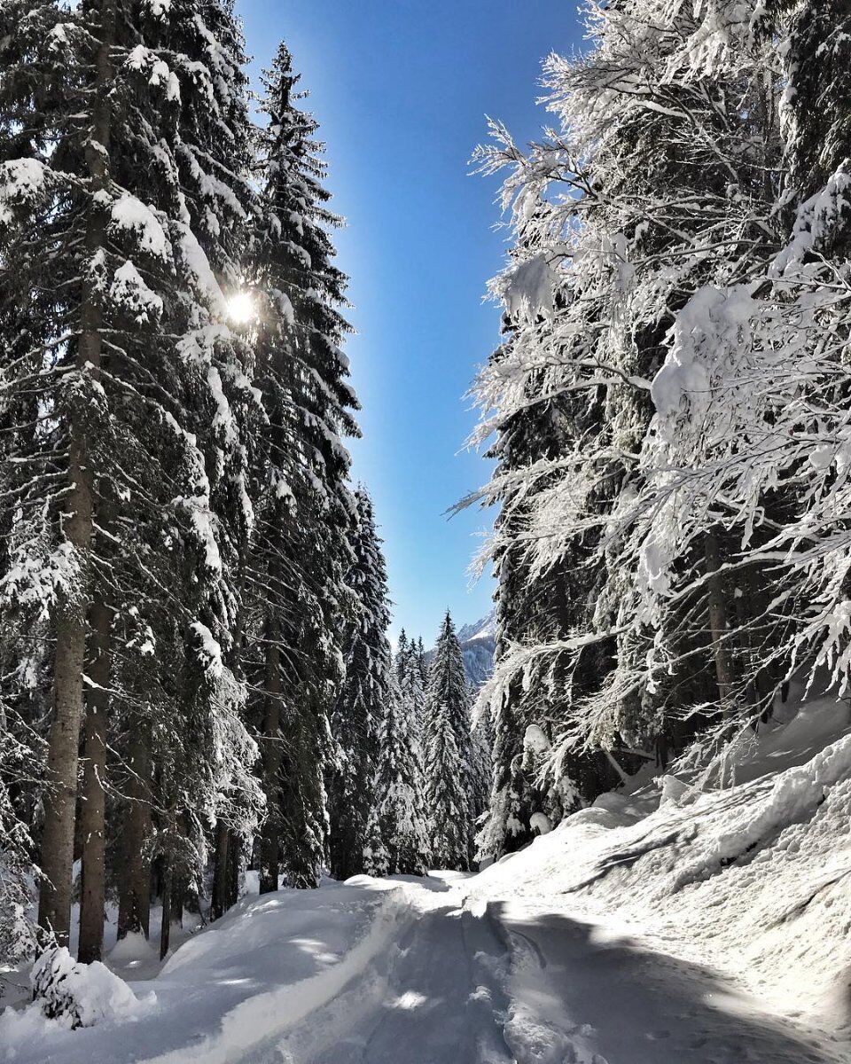 L'incontaminata Valle del Vanoi: Ciaspolata nel cuore del Lagorai L'incontaminata Valle del Vanoi: Ciaspolata nel cuore del Lagorai desktop picture