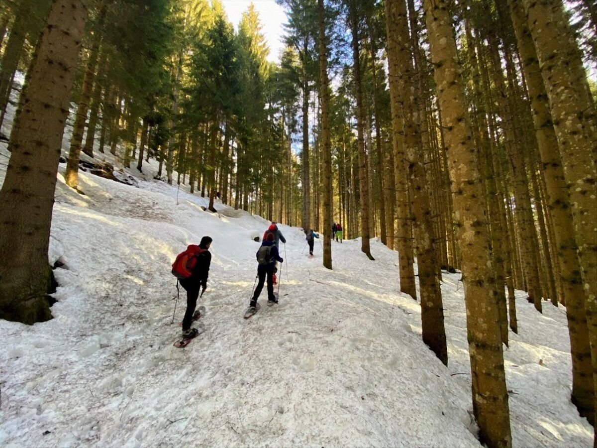 L'incontaminata Valle del Vanoi: Ciaspolata nel cuore del Lagorai L'incontaminata Valle del Vanoi: Ciaspolata nel cuore del Lagorai desktop picture