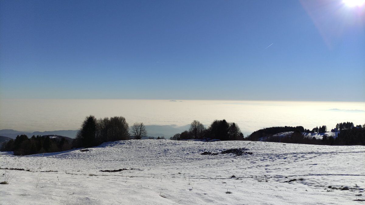 Ciaspolata sull’Altopiano di Asiago: tra boschi e malghe sopra Lusiana desktop picture