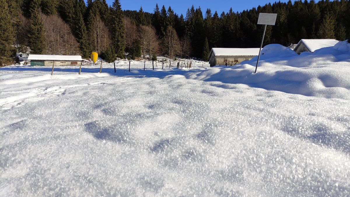 Ciaspolata sull’Altopiano di Asiago: tra boschi e malghe sopra Lusiana desktop picture